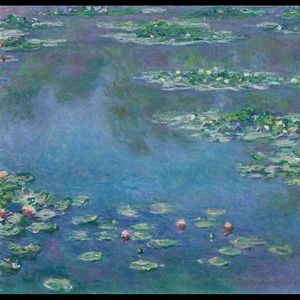 Meet your Posher, Tom